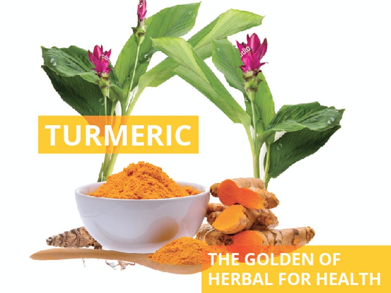 Turmeric : The Golden of herbal for health